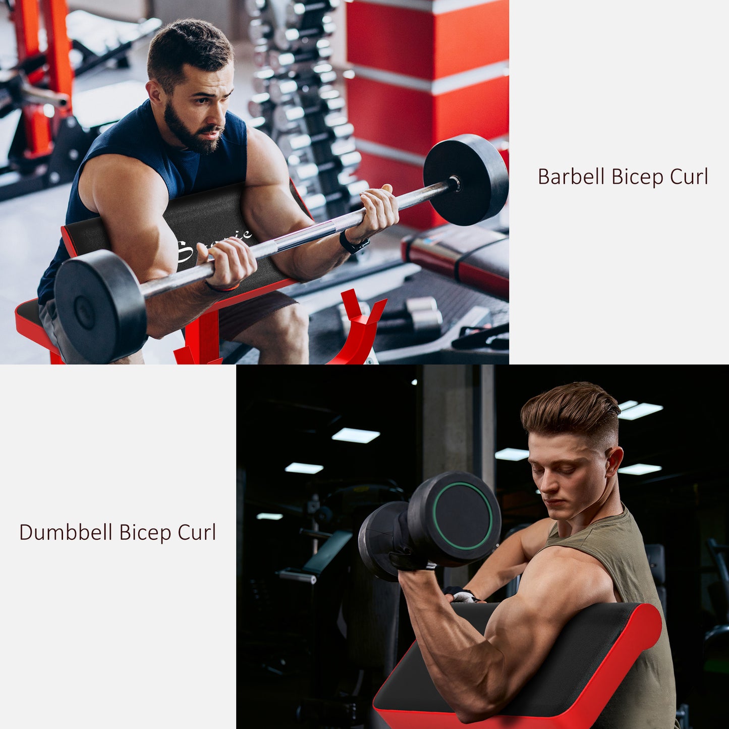 Preacher Curl Bench