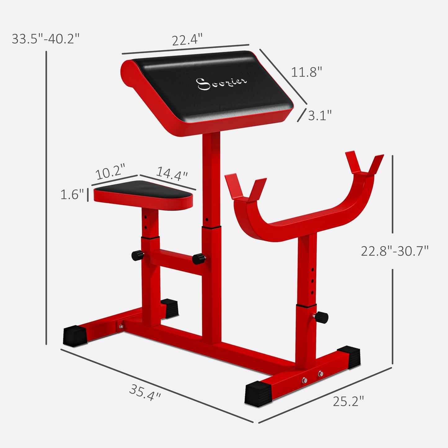 Preacher Curl Bench